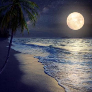 Meet your Posher, Leila